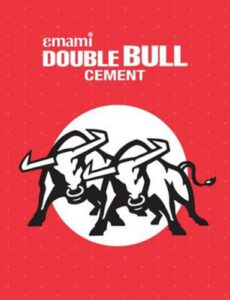 EMAMI DOUBLE BULL CEMENT